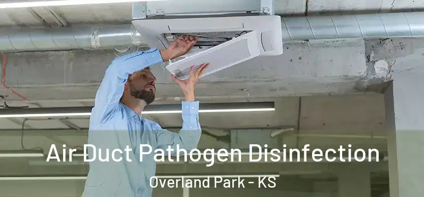 Air Duct Pathogen Disinfection Overland Park - KS