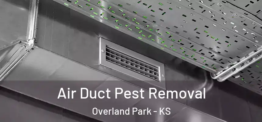 Air Duct Pest Removal Overland Park - KS