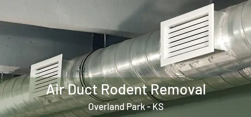 Air Duct Rodent Removal Overland Park - KS