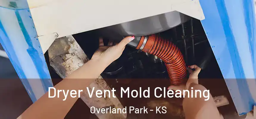 Dryer Vent Mold Cleaning Overland Park - KS