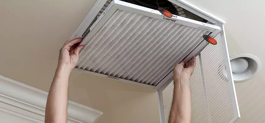 Preventive Cockroach-Proofing for Ducts in Overland Park