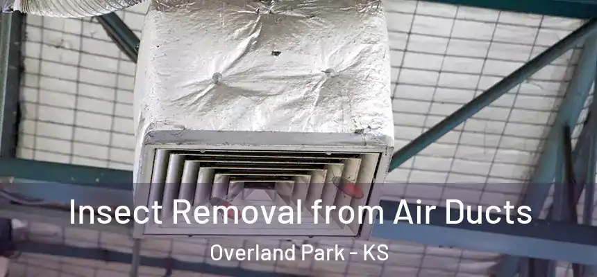 Insect Removal from Air Ducts Overland Park - KS