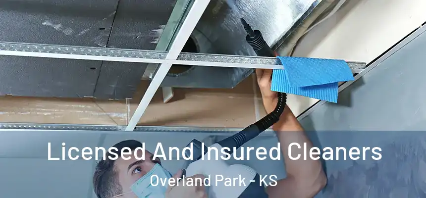 Licensed And Insured Cleaners Overland Park - KS