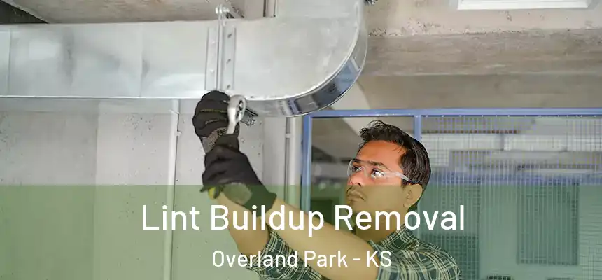 Lint Buildup Removal Overland Park - KS