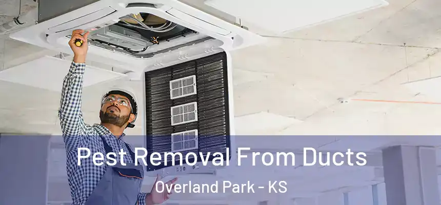 Pest Removal From Ducts Overland Park - KS