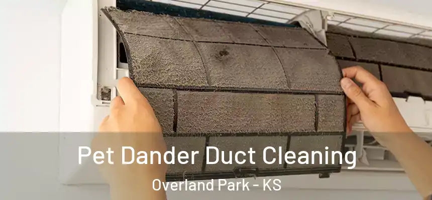Pet Dander Duct Cleaning Overland Park - KS