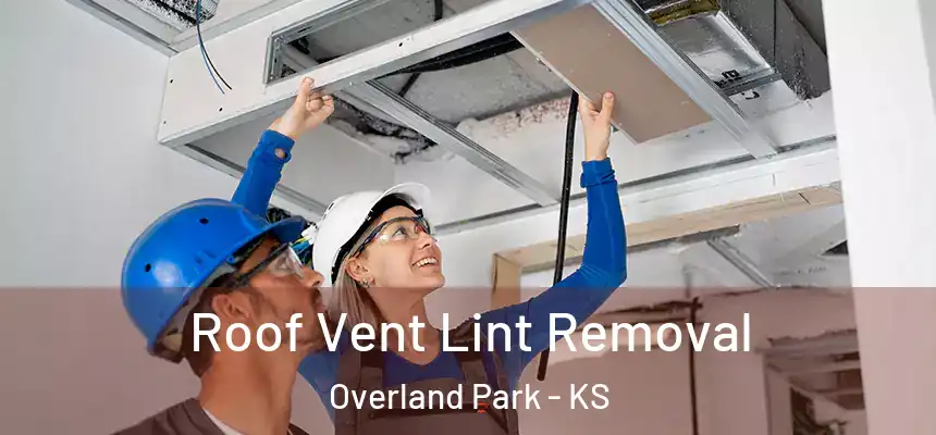 Roof Vent Lint Removal Overland Park - KS