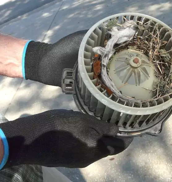 About Air Duct Mice Removal in Overland Park, KS