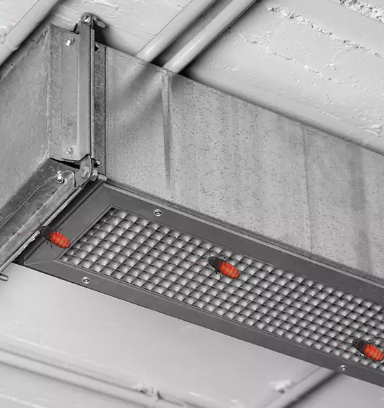 Affordable Insect Removal from Air Ducts in Overland Park, KS