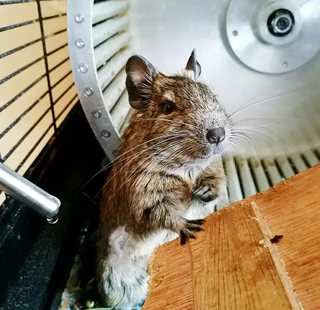 Why Homeowners & Businesses Trust Us Overland Park, KS